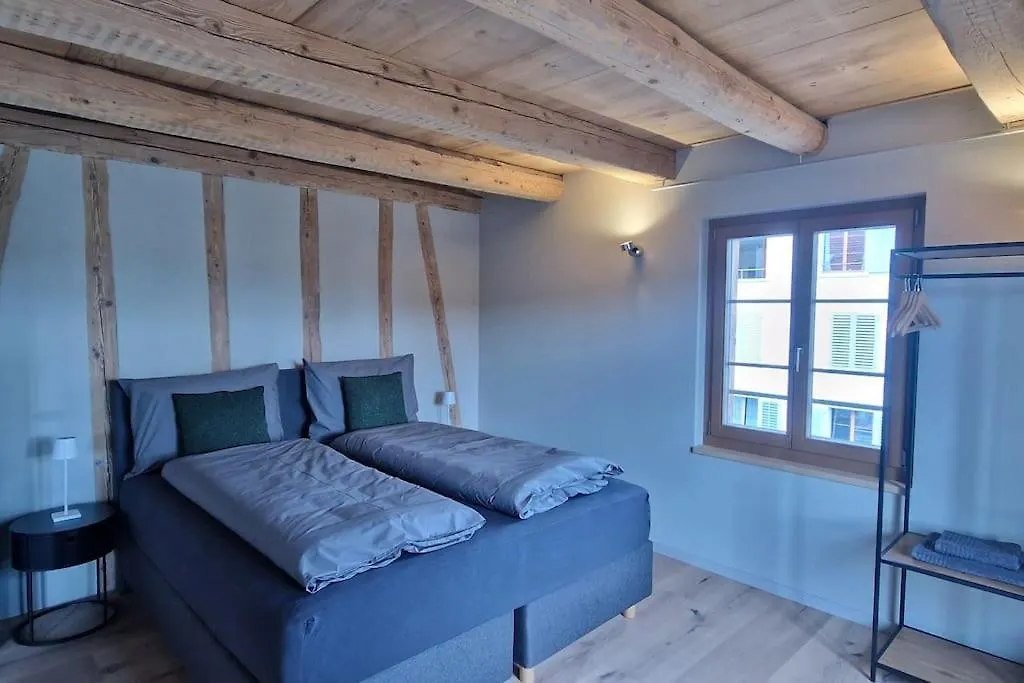 Visionary Hospitality Bassersdorf, Zuerich - Premium Apartments In Swiss Style With Free Parking, Washer, Kitchen, Terrace, Vaulted Cellar Event Room, 15' City & Airport Bassersdorf