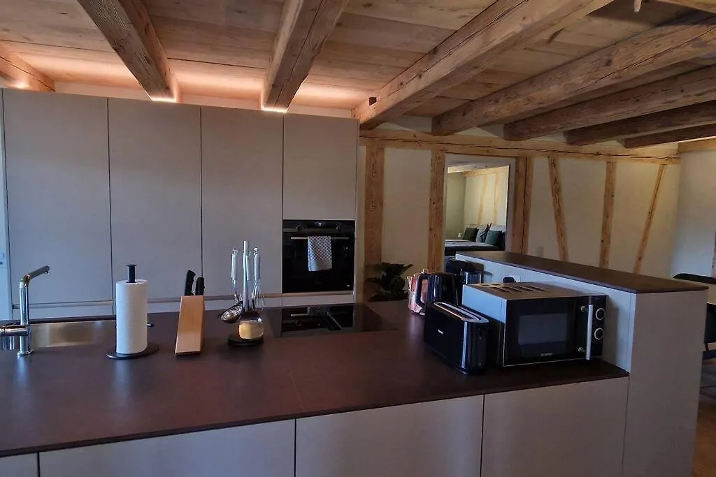 Visionary Hospitality Bassersdorf, Zuerich - Premium Apartments In Swiss Style With Free Parking, Washer, Kitchen, Terrace, Vaulted Cellar Event Room, 15' City & Airport